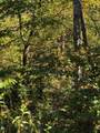 Lot # 40 Buck Creek Circle - Photo 3