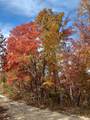 1337 High Rock Road - Photo 10
