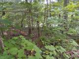 1637 High Rock Road - Photo 4