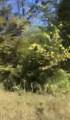 Lot #35 Buck Creek Circle - Photo 2