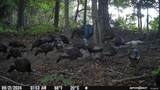 732 Highway 558 - Photo 10