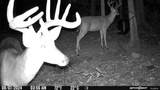 732 Highway 558 - Photo 11