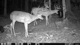 732 Highway 558 - Photo 12