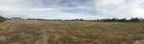 300 Rolling Hills Lane - Photo 3
