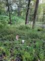 150 Punchs End - Photo 2