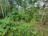 150 Punchs End - Photo 4