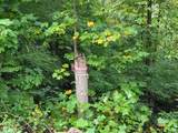 150 Punchs End - Photo 5