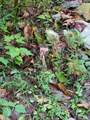 150 Punchs End - Photo 9