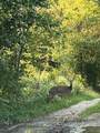 0 Batte Lane - Photo 10