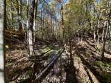 16 Coal Camp Road - Photo 10