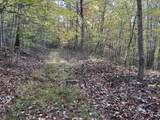 16 Coal Camp Road - Photo 14