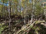 16 Coal Camp Road - Photo 15