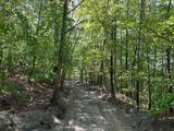 16 Coal Camp Road - Photo 16