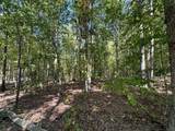 16 Coal Camp Road - Photo 17