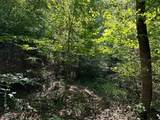 16 Coal Camp Road - Photo 20