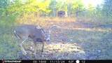 16 Coal Camp Road - Photo 38