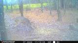 16 Coal Camp Road - Photo 46