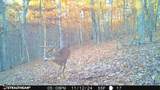 16 Coal Camp Road - Photo 47