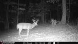 16 Coal Camp Road - Photo 48