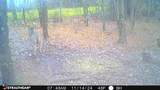 16 Coal Camp Road - Photo 50