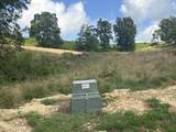 Tract 27 Pittsburg Landing Road - Photo 13