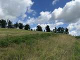 Tract 27 Pittsburg Landing Road - Photo 17
