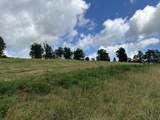 Tract 27 Pittsburg Landing Road - Photo 18