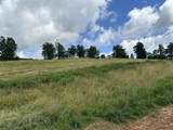 Tract 27 Pittsburg Landing Road - Photo 21