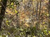 Lot# 36 Buck Creek Circle - Photo 4