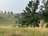 Tract 26 Pittsburg Landing Road - Photo 12