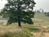 Tract 26 Pittsburg Landing Road - Photo 18