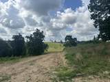 Tract 26 Pittsburg Landing Road - Photo 21