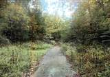 0 Halls Branch Road - Photo 1
