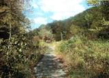 0 Halls Branch Road - Photo 5
