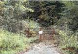 0 Halls Branch Road - Photo 6