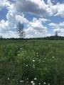 9999 Mitchell Creek Road - Photo 12