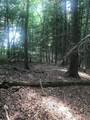 9999 Mitchell Creek Road - Photo 2