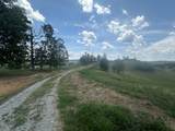 Tract 19 Pittsburg Landing Road - Photo 9
