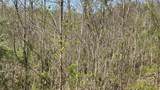  Indian Creek Road - Photo 3
