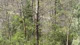  Indian Creek Road - Photo 4