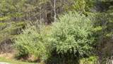  Indian Creek Road - Photo 6