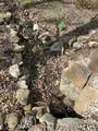 3641 Cabin Creek Road - Photo 102