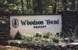 101-3 Woodson Bend Resort - Photo 3