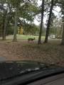 101-3 Woodson Bend Resort - Photo 31