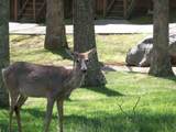 101-3 Woodson Bend Resort - Photo 34