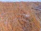 0 Ky 28 - Cow Creek - Photo 32