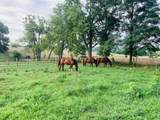 695 Ky Highway 3018 - Photo 58