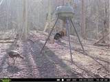 0 Aa Hwy - Photo 13