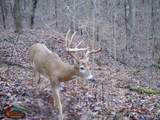 0 Aa Hwy - Photo 14