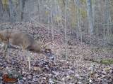 0 Aa Hwy - Photo 15